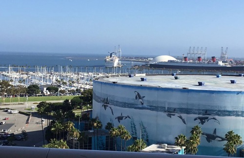 Waterfront Condo | Amazing Ocean View + Queen Mary, Aquarium, Convention Center!