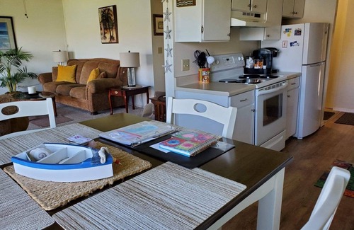 Chelan Condo | Amazing remodeled 2-bedroom condo with beautiful views of Lake Chelan!