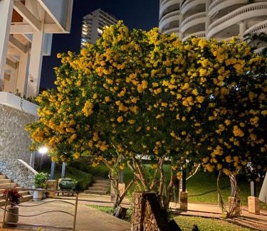 North Pattaya Apartment | Amazing Spacious Seaview Condo