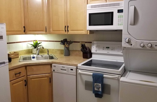 Plymouth Apartment | Amazing Studio-7 min walk to BID Hosp 15 min to D-town w/W/D, DW MW Jacuzzi tub