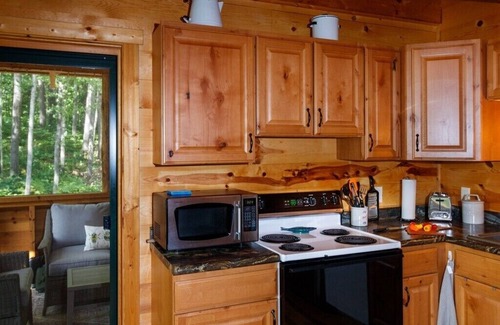 Springbrook Cabin | Amazingly comfortable and secluded Northwoods getaway