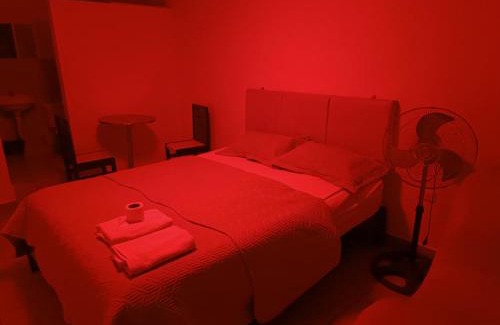 San Juan de Miraflores Hotel | AMAZON STAR - Wild Love
