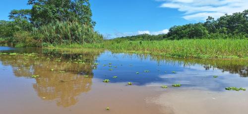 Indiana Hotel | Amazon Tropical Expeditions