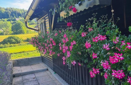 Domzale House | AMB village point