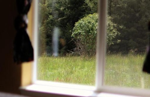 Alpine House | Amber Room at Fernwood Sanctuary