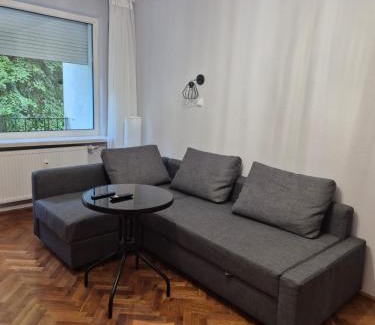 gmina Parzeczew Apartment | Amber room