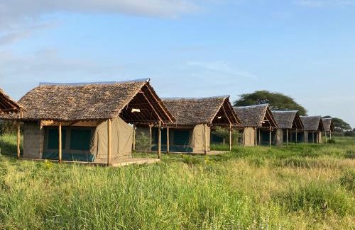 Amboseli Other | Amboseli Discovery Camp