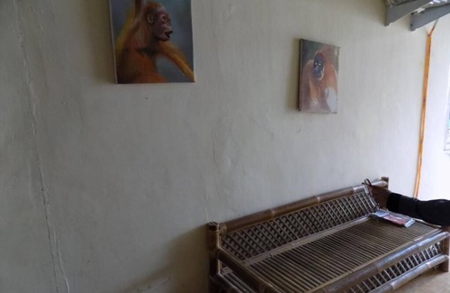 Medan House | Amelia Guest House