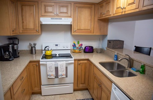 Fernandina Beach Condo | Amelia Island Plantation Ocean Front Ground Floor Condo