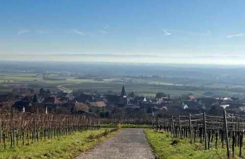 Schweigen-Rechtenbach Hotel | Amelie No 3 Hotel & Appartements