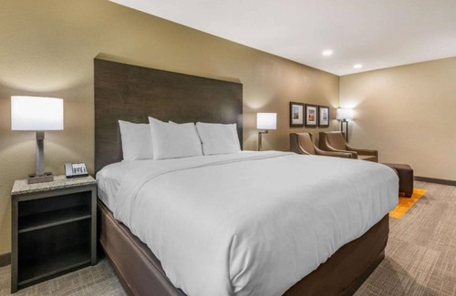 Fruitville Hotel | Ameniti Bay, BW Signature Collection