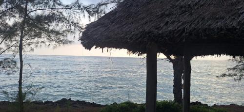 Pongwe Cabin | Amerani nyumba