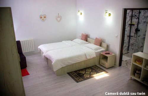 Sapinta House | Ami's Home