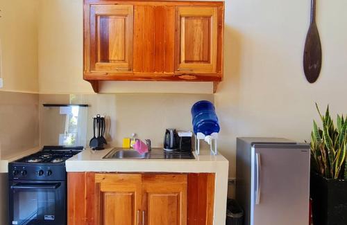 Balabag Apartment | Amor 2 BR Loft with Jacuzzi