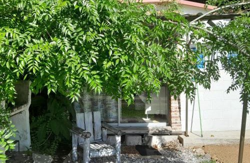 San Luis House | Amor amor