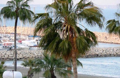 Larnaca City Centre Hotel | Amorgos Boutique Hotel