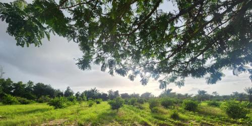 Bhuj House | Amrutiya Farmview Suit
