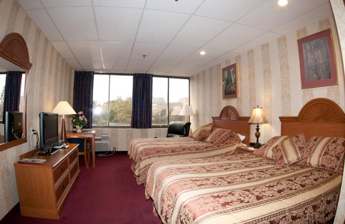 Downtown Hotel | Amsterdam Hotel