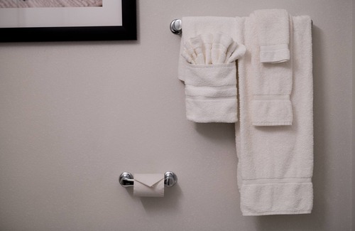 Florenceville-Bristol Hotel | Amsterdam Inn & Suites, an Ascend Collection Hotel