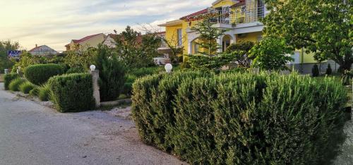 Gradina House | Anđela Home - Krka waterfalls