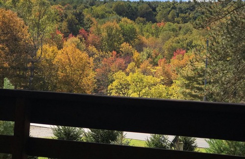 Loudonville House | AN OWL and the MOON. Get-Away in Mohican State Park. Location perfect!