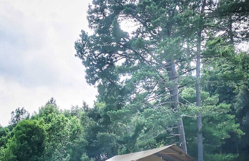 Ucciani Apartment | An unforgettable stay in Corsica - Lodge Alba Scel