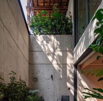 Miguel Hidalgo Apartment | Ana Polanco Apartments