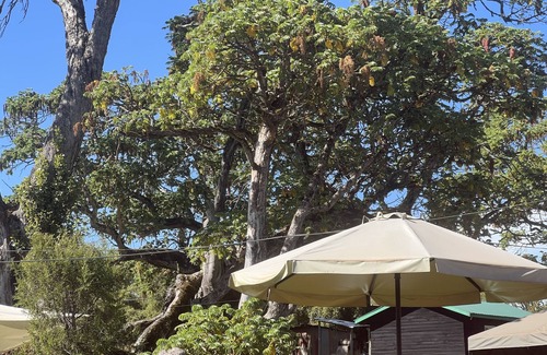 Nanyuki Cabin | Anabas Mount Kenya Lodge