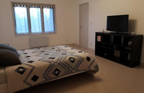 Riorges Apartment | Ananas