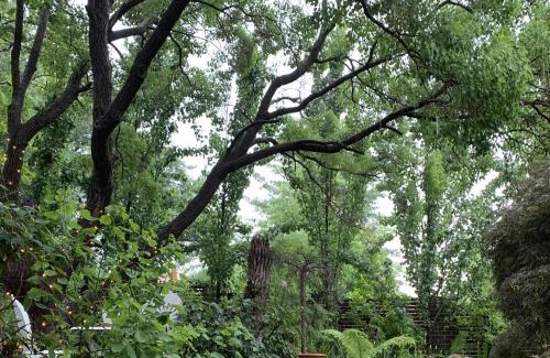 East Albury House | Ananda Cottage