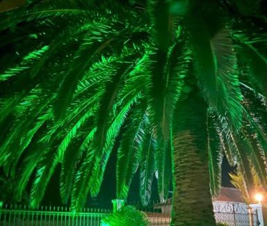 Moudros Apartment | Anastasia's Garden - Green Apartment