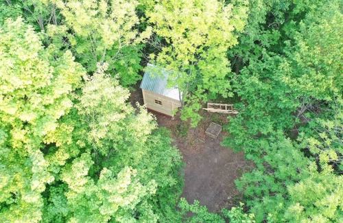 Alexandria Cabin | Anastasia’s Domain 2, Farm stay, off grid cabin in a beautiful forest!