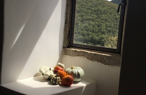 Saint-Hippolyte-du-Fort House | Ancient hermitage clinging to the mountain, swimming pool, magnificent view