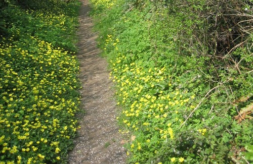 St Hilary House | ancient stone detached structure with own walled courtyard