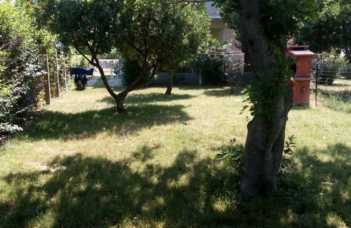 Nin Apartment | . and the dog is allowed to join