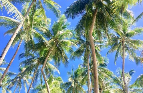 Anda Resort | Anda White Beach Resort