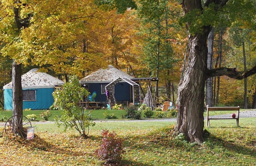 South Hartford RV Rental | Andelyn Farm Butterfly Haven Yurt. A Unique Glamping Experience in Up-State NY