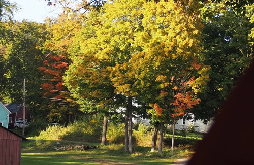 South Hartford RV Rental | Andelyn Farm Moose Lodge Yurt. A Unique Glamping Experience in Up-State New York