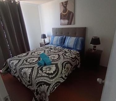 Downtown Santiago Apartment | Andina Suite 6
