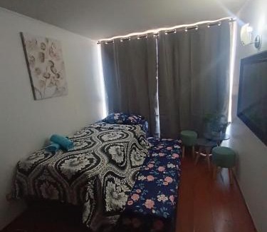 Downtown Santiago Apartment | Andina Suite 6