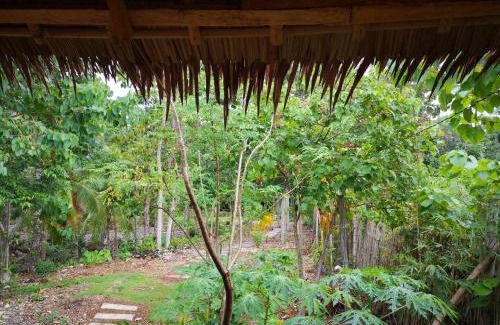 Anda Resort | Andnindot garden resort