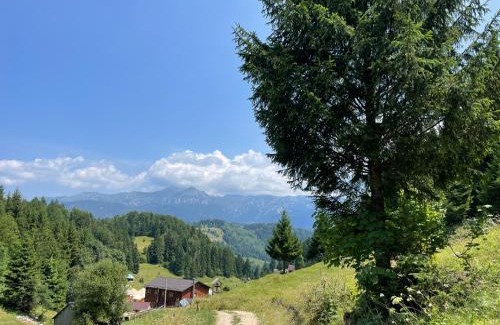 Moeciu de Sus Cabin | Andolia