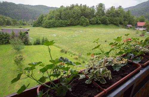 Bohinj House | ANDREJ 3 apartment .