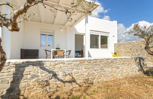 Drios Apartment | Andriana's 1 - Cycladic Home with Garden , Paros