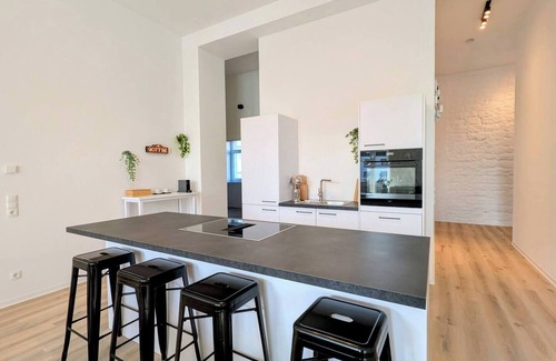 Kaiserslautern Apartment | ANDRiSS: XXL Loft - Workstations - Parking - Kitchen 101