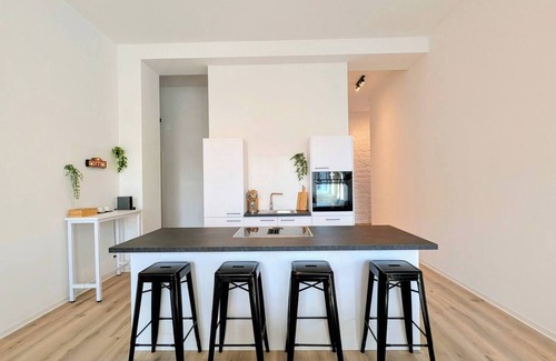 Kaiserslautern Apartment | ANDRiSS: XXL Loft - Workstations - Parking - Kitchen 101