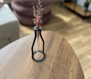 Loschwitz Apartment | ANER 1 STILVOLLE Ferienwohnung in Dresden-Loschwitz