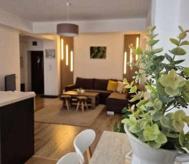 Sibiu Apartment | Angel apartament