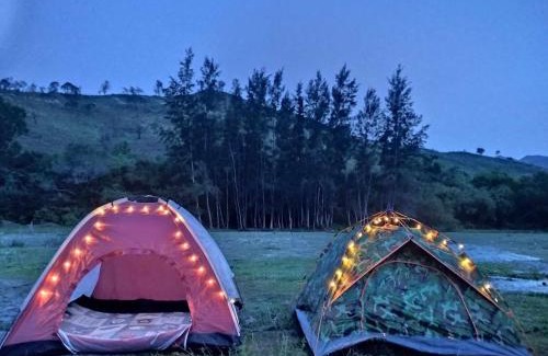 San Antonio Other | Angeles Campsite