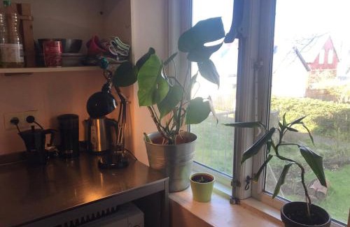 Downtown House | Angelica Guesthouse